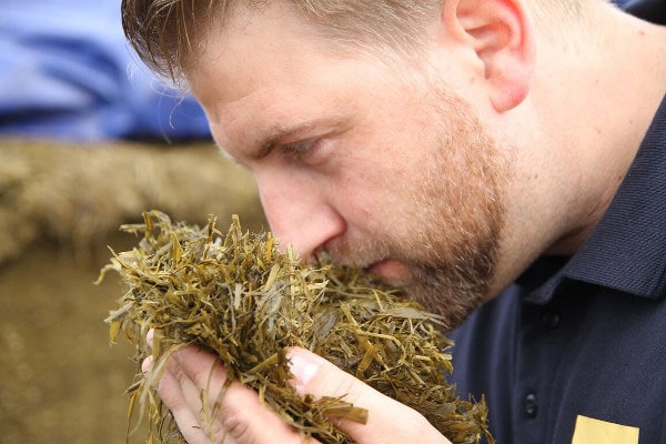 Sensory silo control – Detecting and treating the symptoms of poor fermentation silage