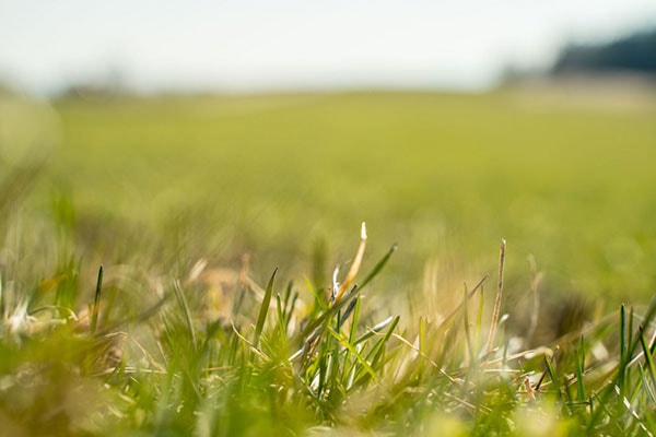 Silage management – the path to optimal grass silage