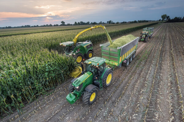 Tractors and trailers harvesting corn at dusk