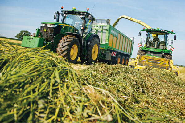 Effects of silage quality on feed costs and animal health!